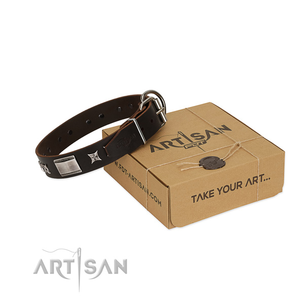 Top notch collar of leather for your impressive canine