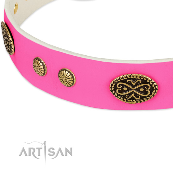 Corrosion resistant embellishments on genuine leather dog collar for your pet