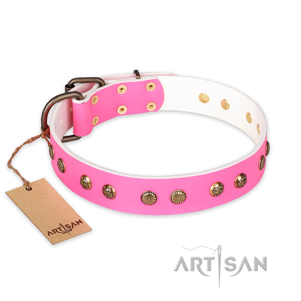 Trendy genuine leather dog collar with rust resistant fittings