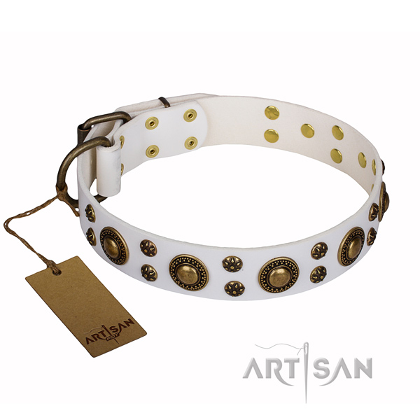 Basic training dog collar of quality full grain genuine leather with decorations