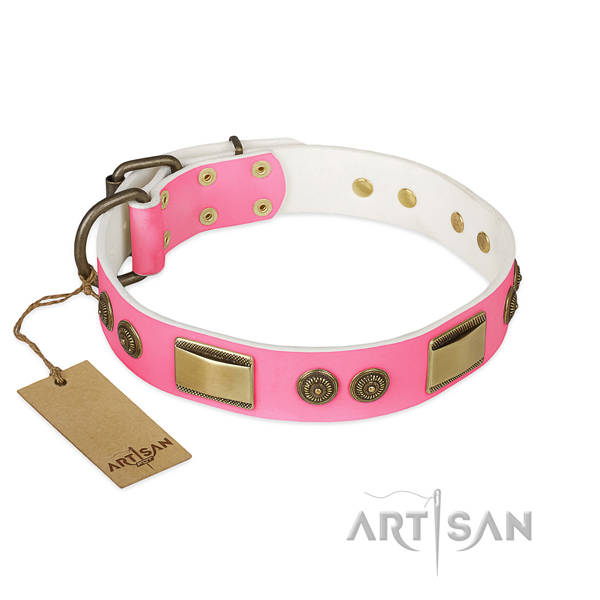 Unique full grain leather dog collar for everyday walking
