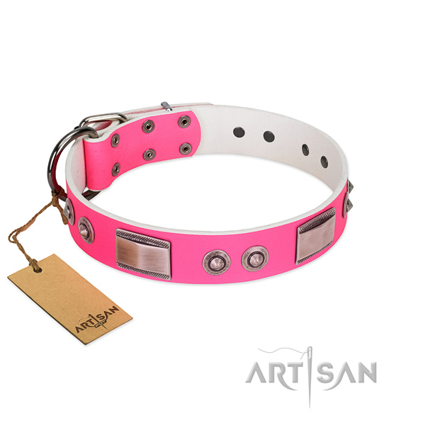 Stylish design dog collar of natural leather with adornments