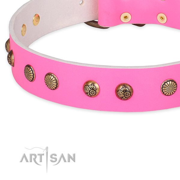 Natural genuine leather collar with durable fittings for your stylish pet
