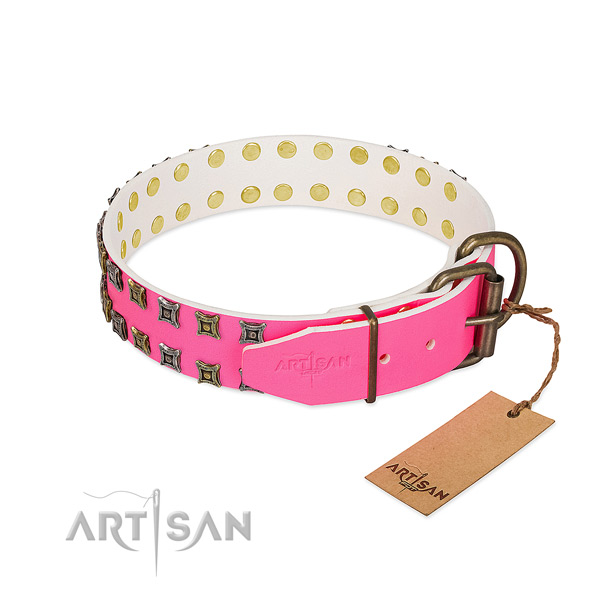 Leather collar with top notch decorations for your canine