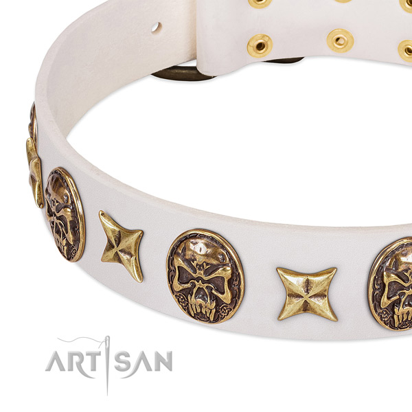 Natural leather dog collar with corrosion proof hardware