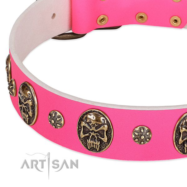 Decorated dog collar created for your impressive dog