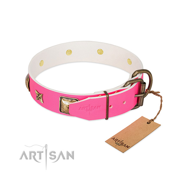 Strong hardware on leather collar for fancy walking your pet