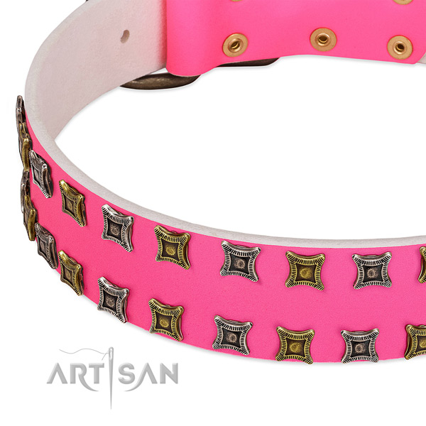 Natural leather dog collar with unique embellishments