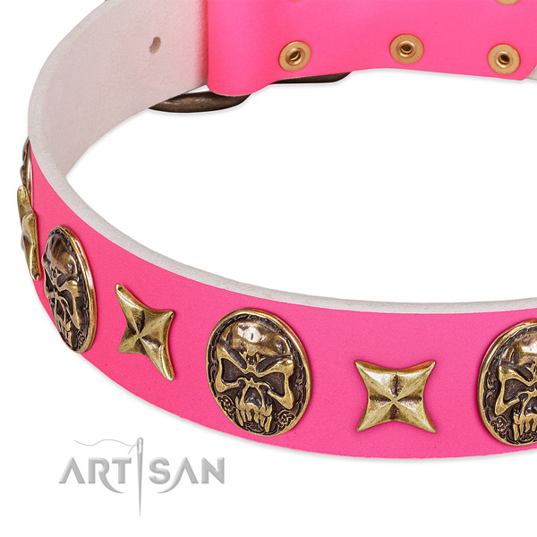 Full grain natural leather dog collar with top notch studs