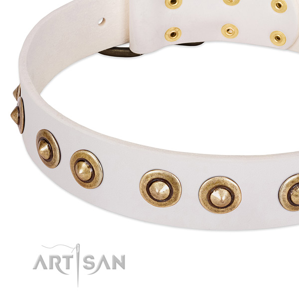 Corrosion resistant embellishments on full grain natural leather dog collar for your dog