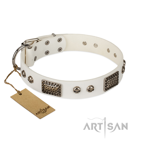 Easy to adjust natural genuine leather dog collar for stylish walking your doggie