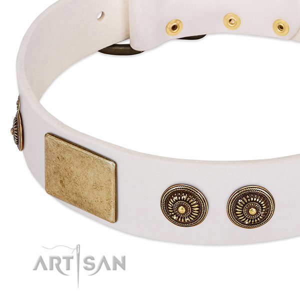 Embellished dog collar made for your impressive dog