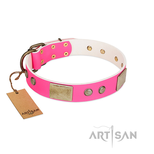 Rust resispinkt decorations on daily walking dog collar