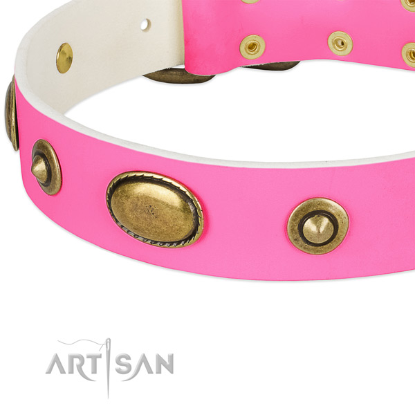 Corrosion proof decorations on full grain natural leather dog collar for your doggie