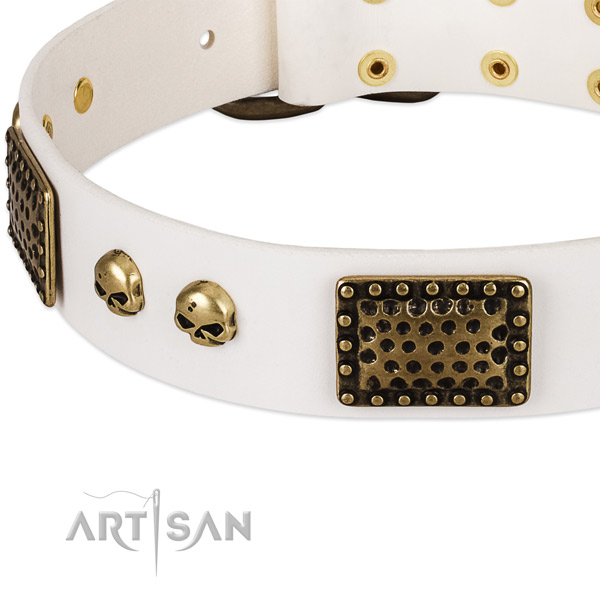 Rust resistant adornments on full grain leather dog collar for your doggie