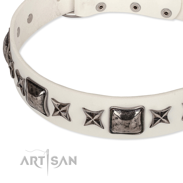 Walking adorned dog collar of fine quality full grain genuine leather