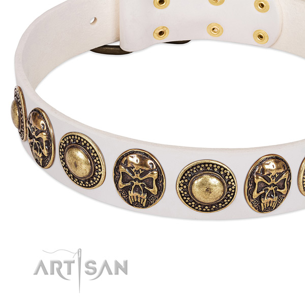 Strong studs on leather dog collar for your pet
