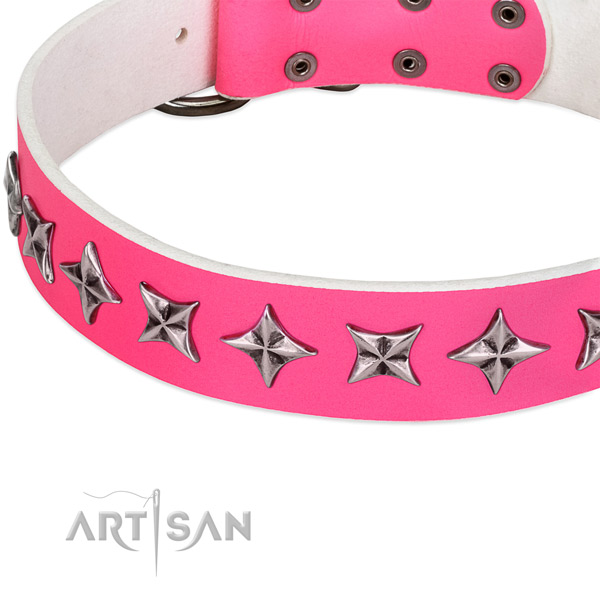 Walking studded dog collar of best quality full grain genuine leather