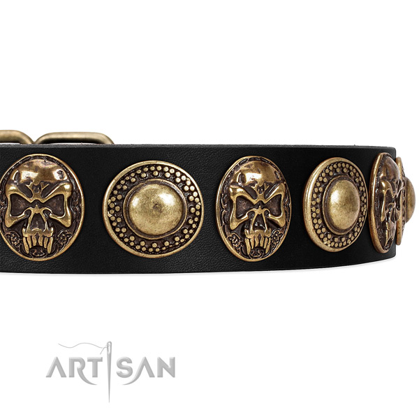 Durable fittings on full grain leather dog collar for your canine