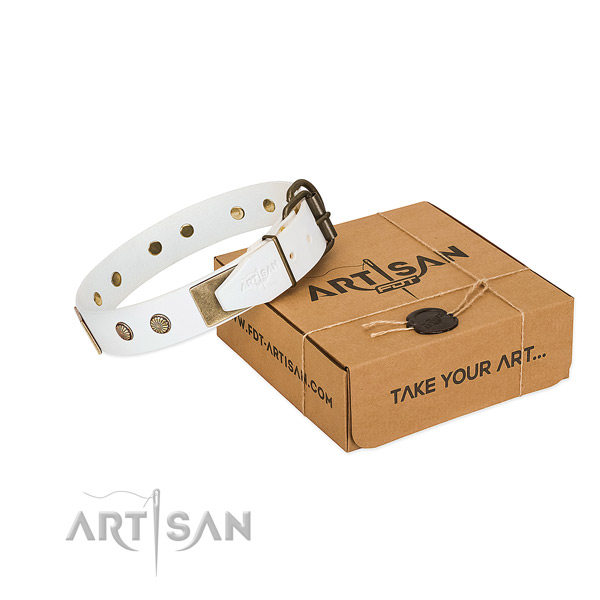 Strong fittings on dog collar for stylish walking