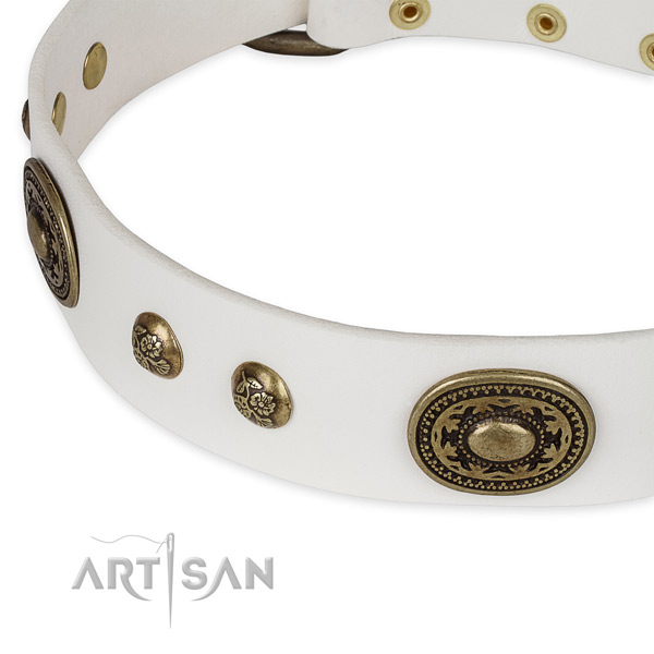 Perfect fit full grain natural leather collar for your stylish pet