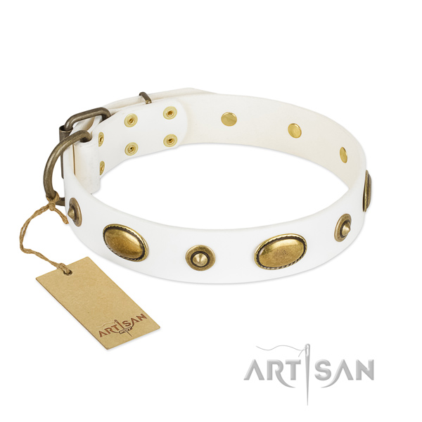 Top quality full grain genuine leather collar for your dog