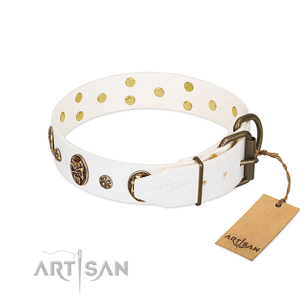 Reliable traditional buckle on genuine leather dog collar for your doggie