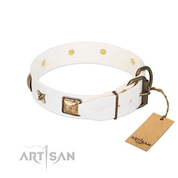 Full grain natural leather dog collar with corrosion resistant fittings and embellishments