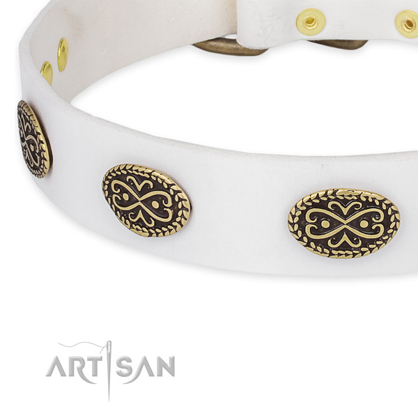Stylish genuine leather collar for your stylish canine