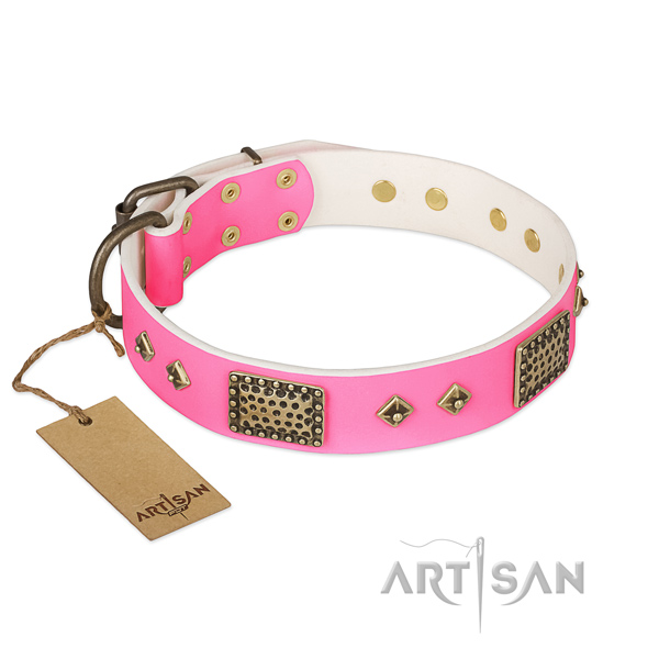 Easy wearing genuine leather dog collar for walking your four-legged friend