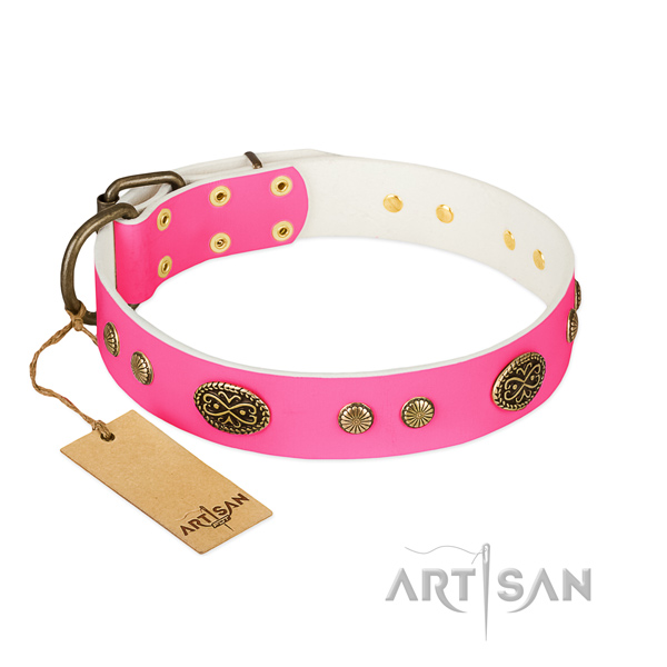 Corrosion proof embellishments on full grain genuine leather dog collar for your pet