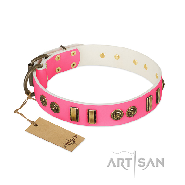 Exceptional genuine leather collar for your dog