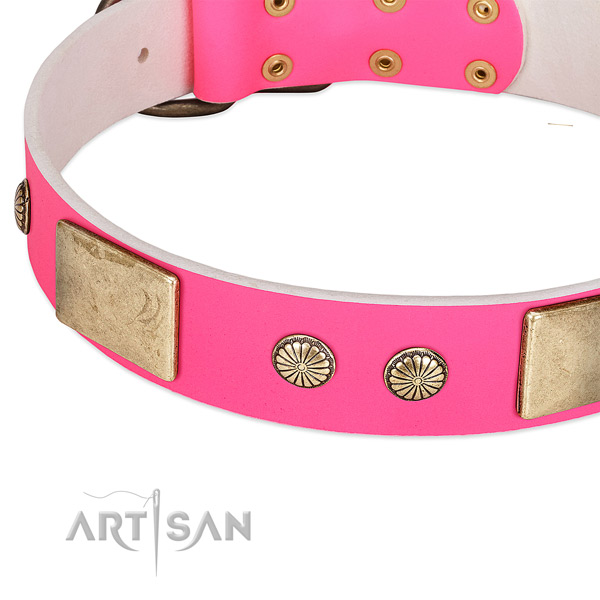 Reliable embellishments on full grain leather dog collar for your pet