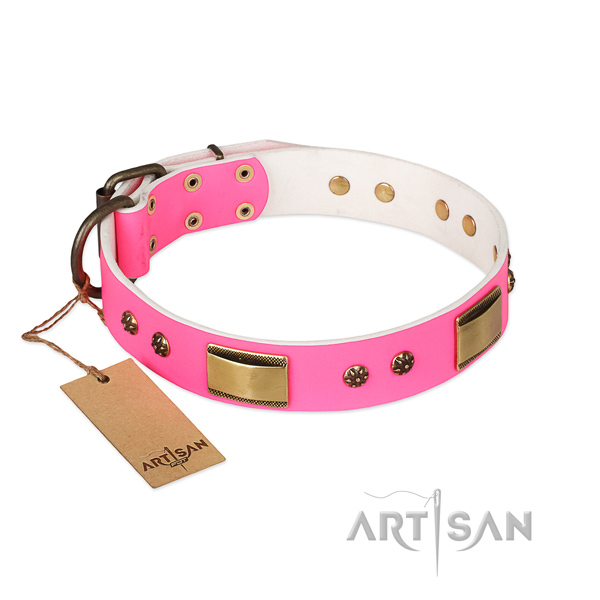 Extraordinary leather collar for your pet