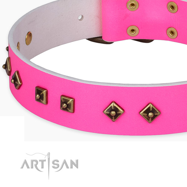 Stunning full grain leather collar for your attractive pet