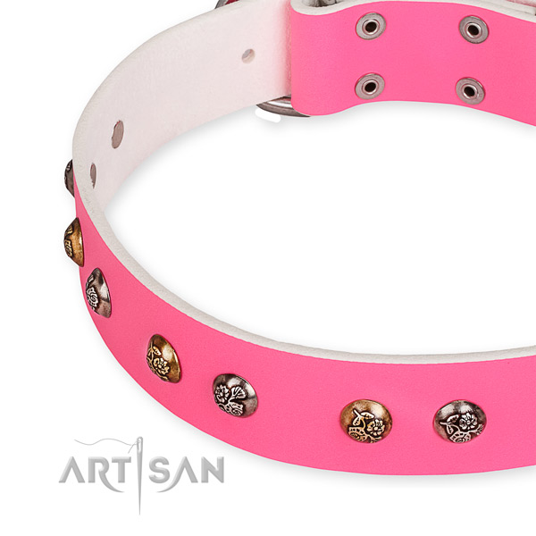 Full grain leather dog collar with significant corrosion resistant adornments