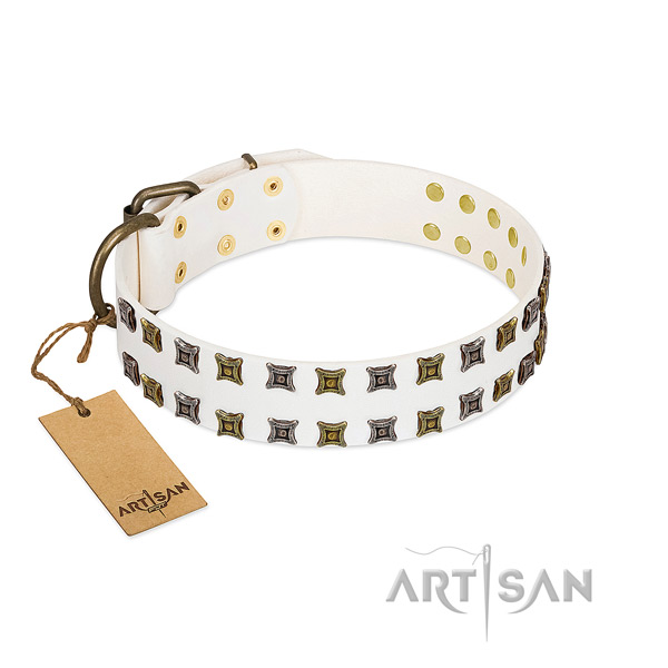 Full grain natural leather collar with designer embellishments for your dog