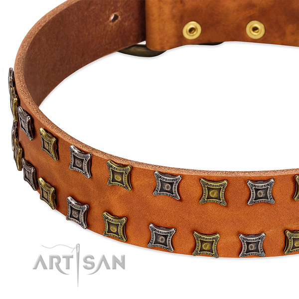 Best quality full grain genuine leather dog collar for your handsome canine
