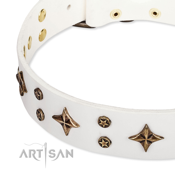 Walking decorated dog collar of durable natural leather
