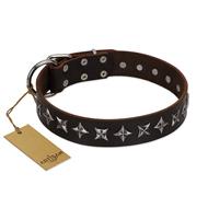 "Stars of Glory" FDT Artisan Brown Leather Black Russian Terrier Collar for Comfortable Walking