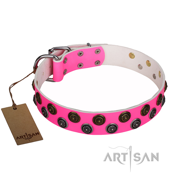Comfy wearing dog collar of top notch full grain natural leather with embellishments