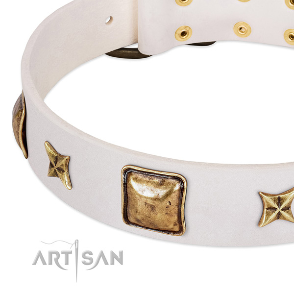 Rust-proof buckle on leather dog collar for your pet