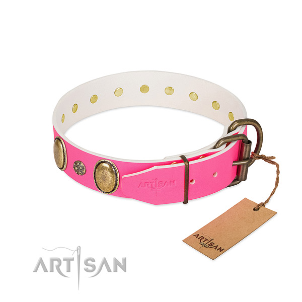 Strong leather dog collar with decorations