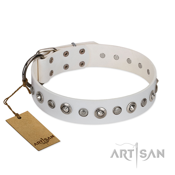 Fine quality full grain leather dog collar with trendy decorations