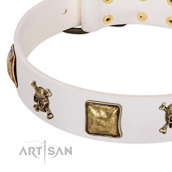 Daily use full grain genuine leather dog collar with designer embellishments