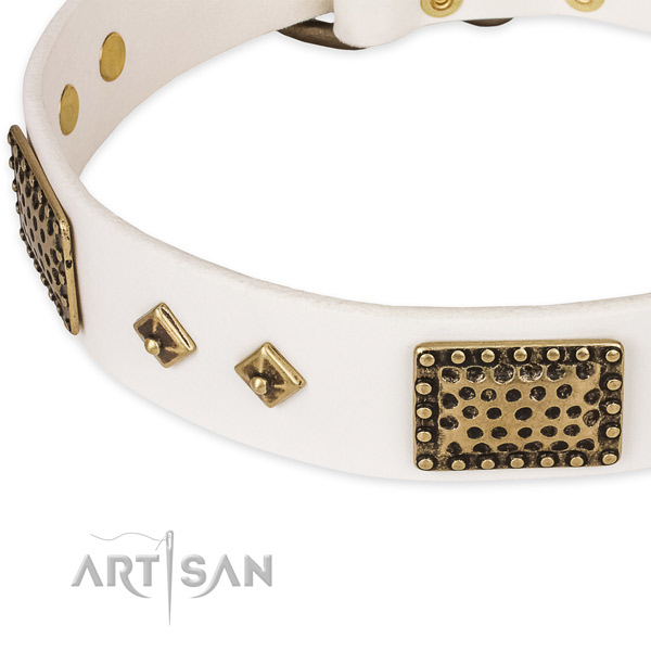 Rust resistant embellishments on full grain genuine leather dog collar for your dog