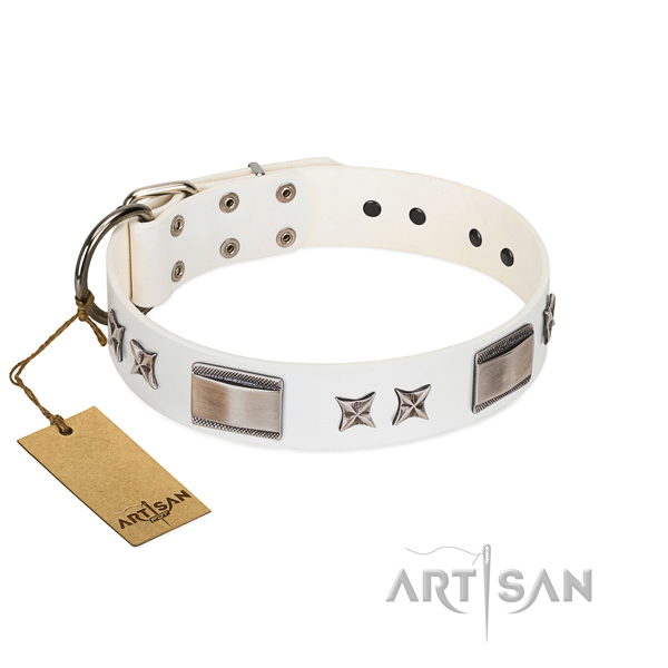 Stylish design dog collar of leather