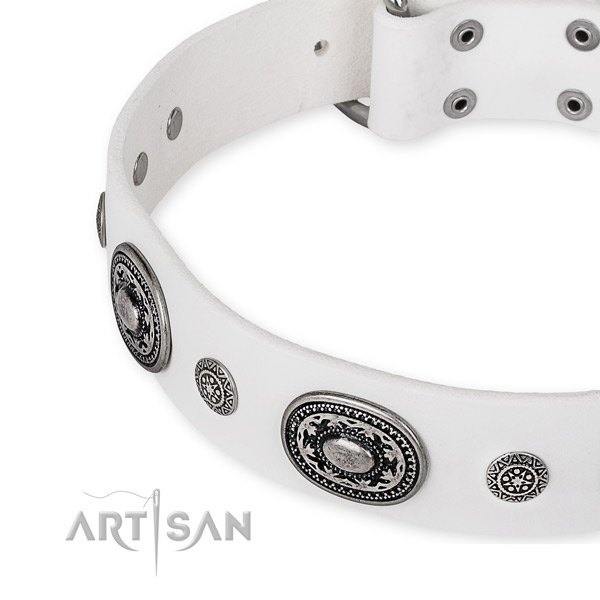 Durable natural genuine leather dog collar crafted for your impressive four-legged friend