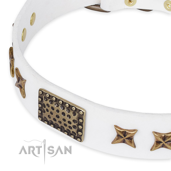 Genuine leather collar with rust-proof traditional buckle for your beautiful canine