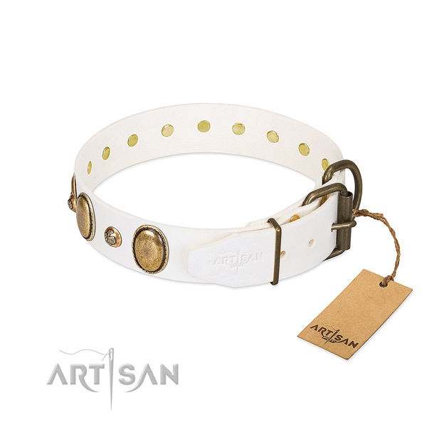 Fancy walking leather dog collar